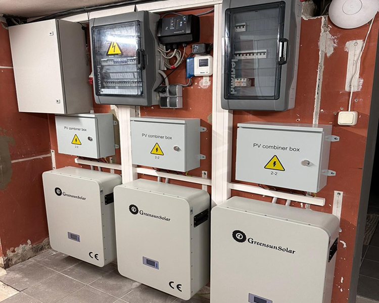 أنظمة تخزين بطاريات الليثيوم 30KWH في ألمانيا