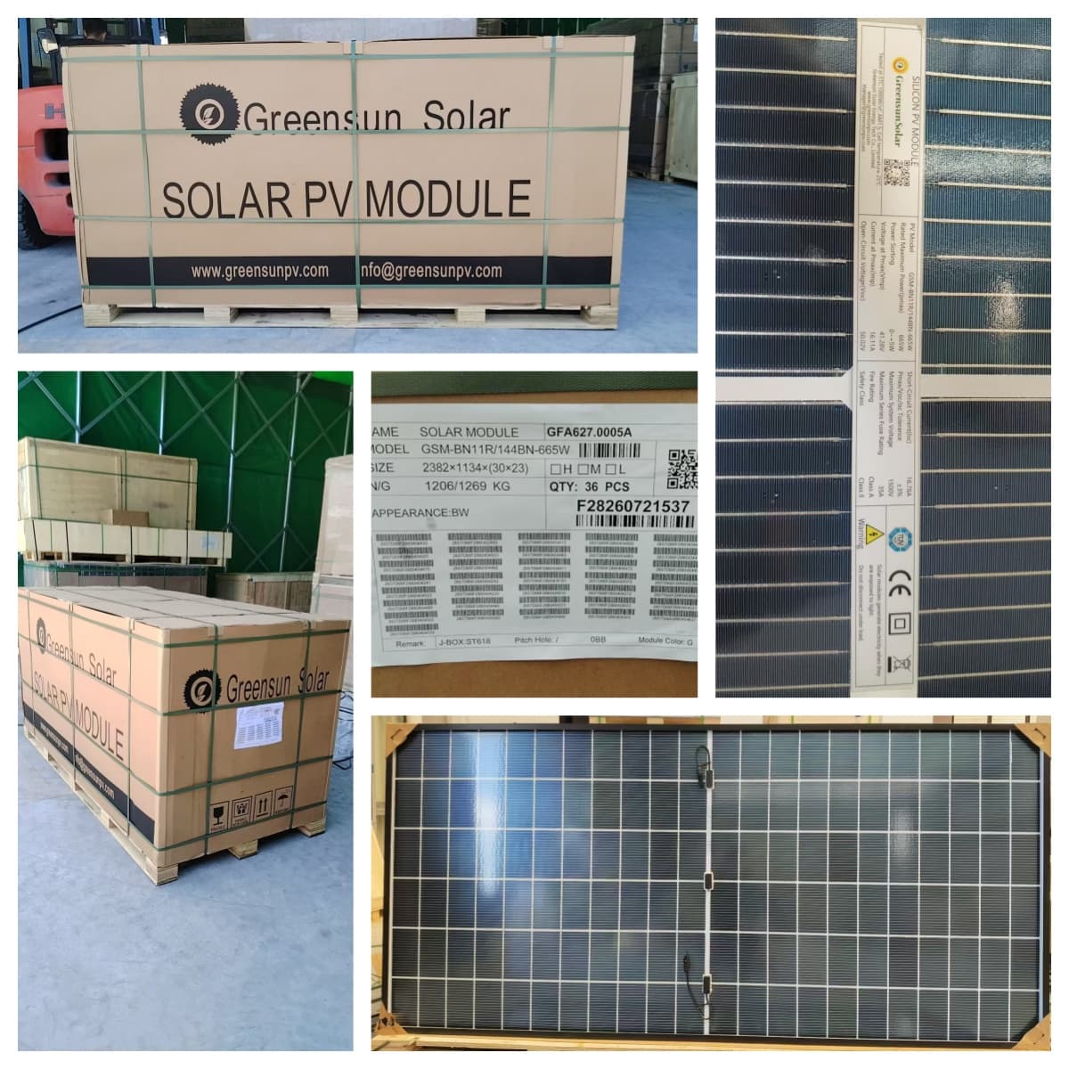 BC Solar panels